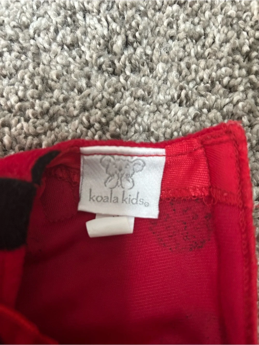 Koala Kids Red and Black Ladybug Costume Dress with Wings